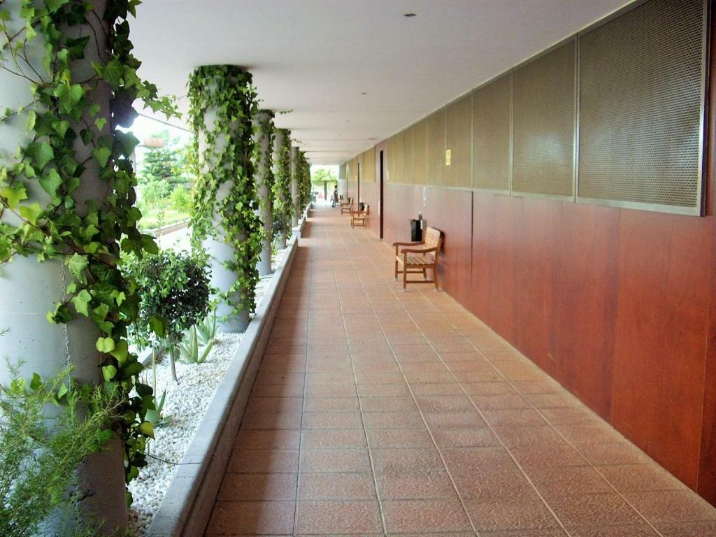 Goleta Almeria Apartment Bagian luar foto